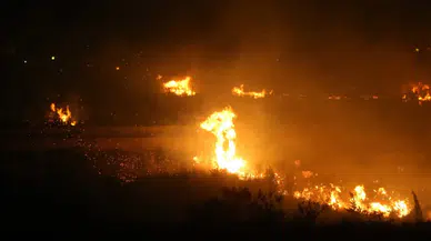 Hatay'da zeytinlikte çıkan yangın, ekipler tarafından kontrol altına alındı