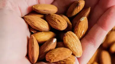 Hangi besinleri daha fazla tüketmeliyiz? İşte araştırmaların sonucu