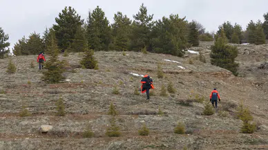 Elazığ'da 3 gündür kayıp yaşlı adamı arama çalışmaları sürüyor