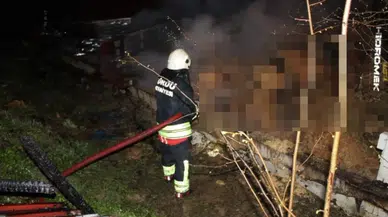 Ordu'da ahır yangınında 27 büyükbaş hayvan telef oldu