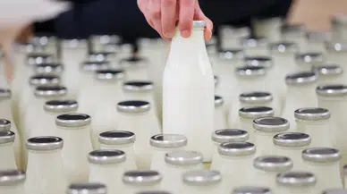 Sütün bozulmasını önleyen 4 doğal yöntem