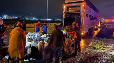 Kayseri'de Karasu Deresi taştı : 200 hayvan tahliye edildi