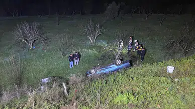 Aydın'da domuza çarpan otomobil uçuruma yuvarlandı, sürücü yaralandı