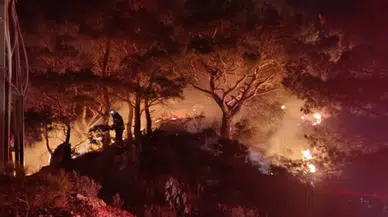 Muğla'da ormanlık alanda yangın çıktı : 2 dönümlük alan zarar gördü