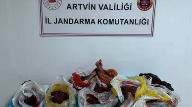 Artvin Kemalpaşa'da 60 kilo yaban domuzu eti ele geçirildi