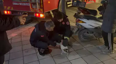 Tokat'ta boş evin balkonunda mahsur kalan kediyi itfaiyeciler kurtardı