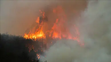 Güney Kore'de yangın : 3 gündür söndürülemiyor