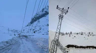 Diyarbakır'da kar yağışı nedeniyle devrilen 300 elektrik direği yenilendi