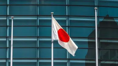 Japonya erken seçim için sandık başına gitti