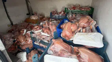 Van'da sağlık raporu bulunmayan 200 tavuk ele geçirildi