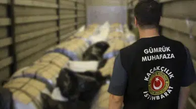 Zehir tacirlerine 828 milyon liralık darbe