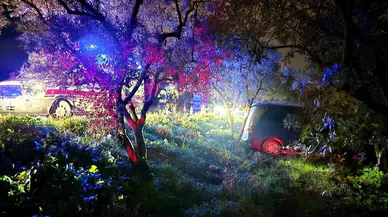 Bursa'da direksiyon hakimiyetini kaybeden sürücü zeytinliğe daldı