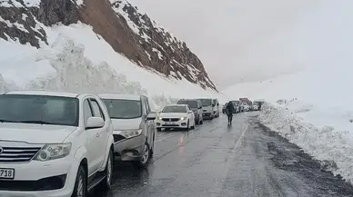 Şırnak-Hakkari kara yoluna çığ düştü, yol ulaşıma kapandı