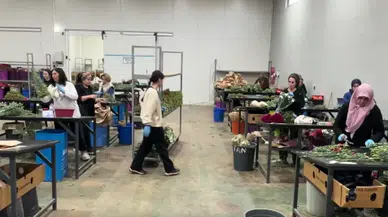 Dünya Kadınlar Günü için Türkiye'den ihracat : 35 ülkeye 80 milyon dal çiçek