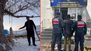 Kayseri'de köpeğini ağaca asarak öldüren şahıs gözaltına alındı