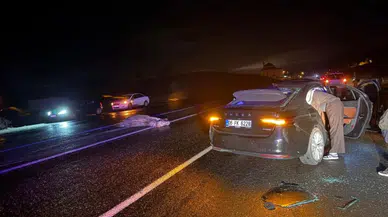 Bingöl'de otomobil ata çarptı : Yaralılar var