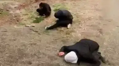 Adıyaman’da madde etkisindeki 3 kişi yere yığıldı