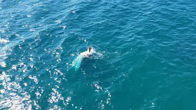 Antalya 'da balıkçı teknesi battı