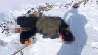 Van'ın Başkale ilçesinde İran sınırı yakınlarında erkek cesedi bulundu