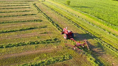 TÜİK: Tarım ÜFE yıllık %40,10 arttı