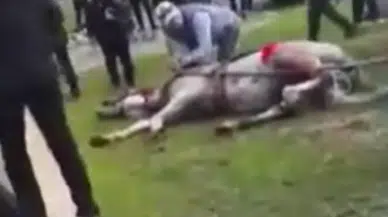 Adana’da atlara eziyet eden 2 şüpheli gözaltına alındı