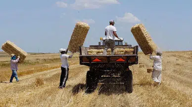 Uşak'ta talihsiz kaza : Saman balyasından düşen 71 yaşındaki adam hayatını kaybetti
