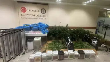 Sultanbeyli'de uyuşturucu operasyonu : Evde kurulan sera düzeneği ele geçirildi