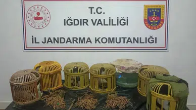 Iğdır'da kaçak keklik avcılarına rekor ceza : 175 bin TL para cezası