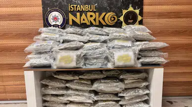İstanbul Tuzla'da 51 kilo skunk ele geçirildi