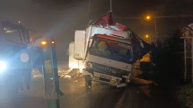 Büyükçekmece'de kaza : 8 ton hamsi yola döküldü