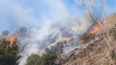Hatay Defne'de çıkan bahçe yangınından alevler yükseldi