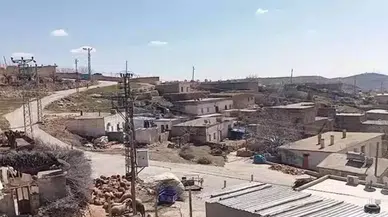 Mardin Ömerli’de kuduz şüphesi : Bir mahalle karantinaya alındı