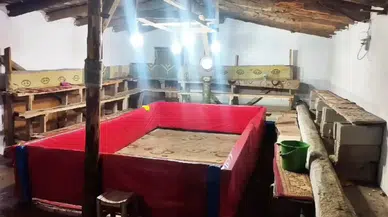 Muş'ta horoz dövüşü düzenleyen 23 kişiye para cezası uygulandı