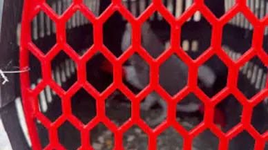 İstanbul'da petshop denetimi düzenlendi : 39 papağana el konuldu