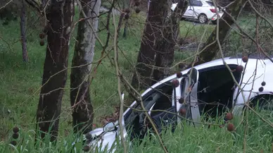 Pendik'te kaza : Sürücü virajı alamayıp ağaçlık alana girdi