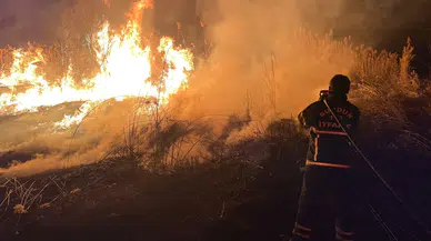 Burdur'da sazlıkta yangın : İtfaiye ekipleri kontrol altına aldı