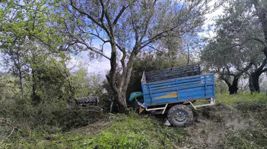 Hatay'da feci kaza : Zeytin bahçesine uçan patpatın sürücüsü hayatını kaybetti