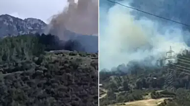 Osmaniye’de orman yangını : Ekipler bölgeye sevk edildi