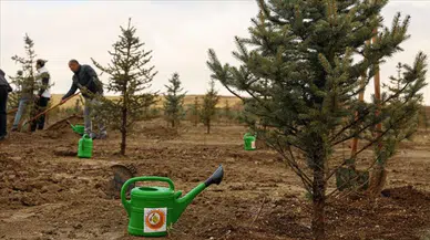 Ordu'da Orman Haftası'nda bin 500 fidan dikildi