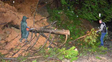 Manisa'da şiddetli yağışlar ağaçları devirdi