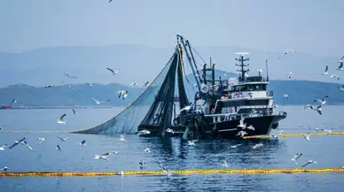 Bakanlık açıkladı : Denizlerde av yasağı başlıyor