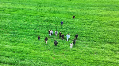 Diyarbakır'da kaybolan 3 yaşındaki Yazgül tarlada uyurken bulundu