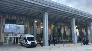Van'da sokak köpeklerinin saldırısına uğrayan 5 yaşındaki çocuk öldü