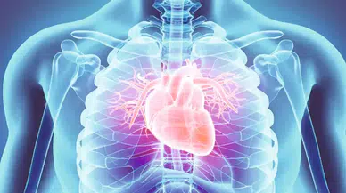 'Her yıl yaklaşık 20 milyon kişi kalp ve damar hastalıkları nedeniyle hayatını kaybediyor'