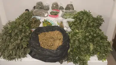 Pendik'te uyuşturucu operasyonu : 10 kilo marihuana ele geçirildi