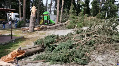 Karabük'te kestiği ağacın altında kalan işçi hayatını kaybetti