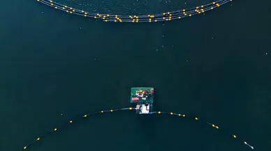 İzmit'te 'Dip Çamuru Projesi' : Su sirkülasyonu yeniden sağladı