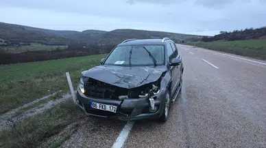 Ankara Beypazarı'nda otomobil geyiğe çarptı