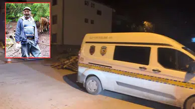 Artvin'de merdivenlerden düşen 65 yaşındaki adam öldü