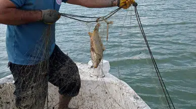 Isparta'da kaçak avcılık operasyonu : 7 çuval ağ ele geçirildi